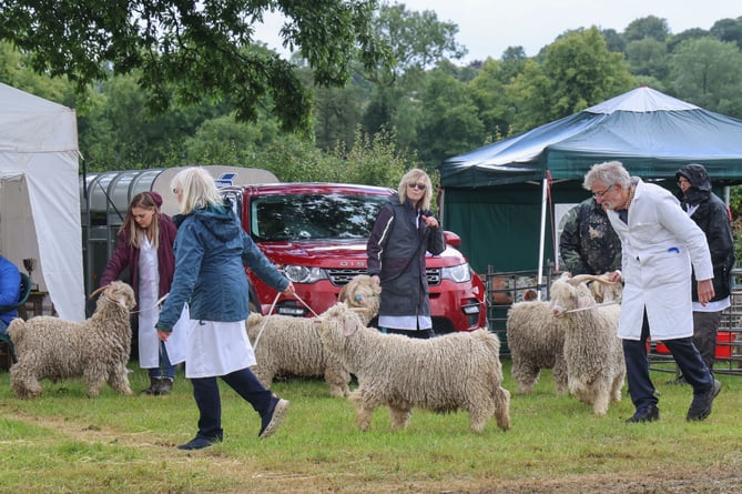 Lampeter Show