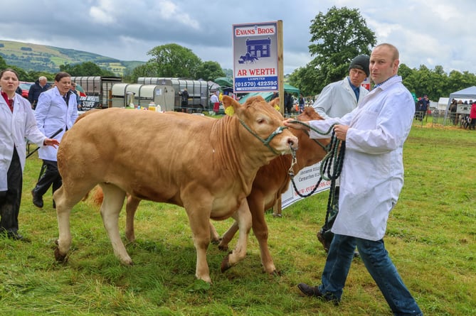 Lampeter Show