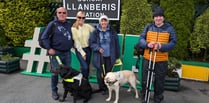 Llŷn guide dog owners hike up mountain to raise thousands for charity