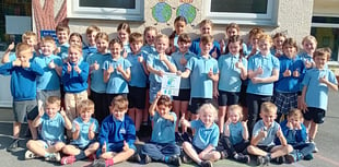 Llanfarian pupils scoop top award for being green