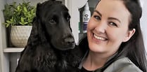 Meet the care manager turned dog groomer specialising in anxious dogs