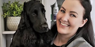 Meet the care manager turned dog groomer specialising in anxious dogs