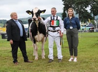 Royal Welsh Show: Sioe'r Cardis hailed a resounding success