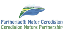 Funding available to enhance nature in Ceredigion