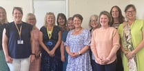 Praise for Hywel Dda health visitors