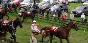 Exciting harness racing at the Wembley of Wales