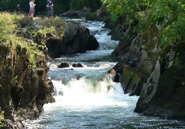 Cenarth falls