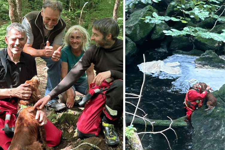 Ted with some of his rescuers and his owners (left) following his ordeal in the ravine (right). Photos: Aberdyfi Search and Rescue Team