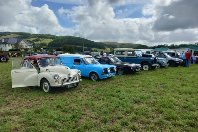 Vintage cars were on display. Photo: Julie McNicholls Vale