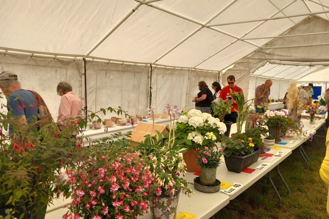 There were flowers, cakes, vegetables and more competing for the prizes in the main tent. Photo: Julie McNicholls Vale