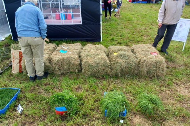 Who had the best hay bale? Photo: Julie McNicholls Vale