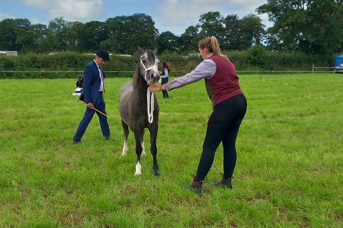 There was strong competition in the many sections of the show, including the horse section. Photo: Julie McNicholls Vale