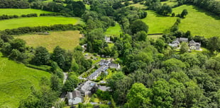 "Captivating" cottage for sale with garden studio and wildlife pond 