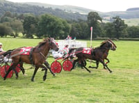 Harness racing: Llwyns Mercy takes Grade A winner at Cilmeri