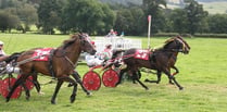 Harness racing: Llwyns Mercy takes Grade A winner at Cilmeri