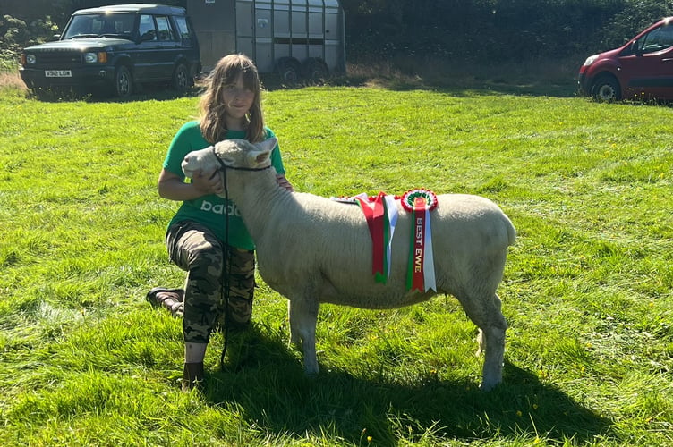 Llanddewi Brefi Show