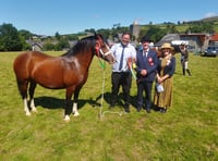 Sun shines on Llanddewi-Brefi Show