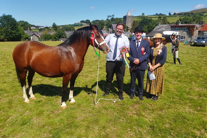 Llanddewi Brefi Show