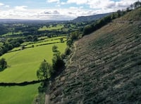 Rali Ceredigion expected to set new record for carbon offsetting