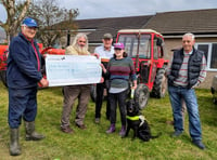 Llanbrynmair guide dog steals the show