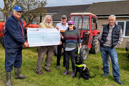 Llanbrynmair guide dog steals the show