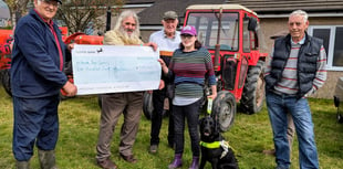 Llanbrynmair guide dog steals the show