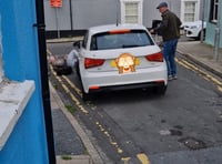 Woman fined for Vulcan street driving incident