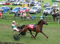 Lakeside Pan romps home to victory at Llandrindod Wells