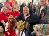 Greyhounds are VIP guests at Aberystwyth Radio Wales event