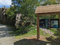 Elan Valley woodland made more accessible thanks to £53,000 project