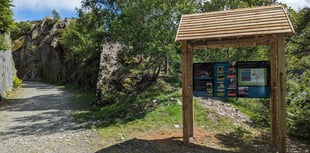 Elan Valley woodland made more accessible thanks to £53,000 project