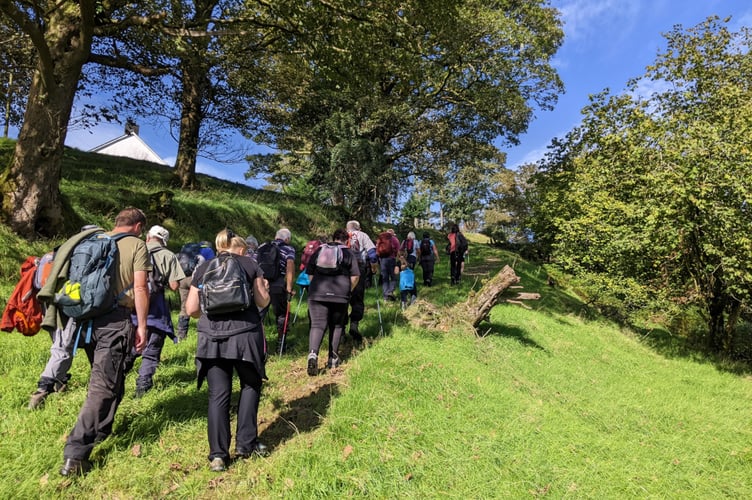 Llandysul walkers