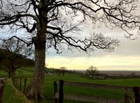 Holiday shepherd huts plans for Talybont farm given go ahead