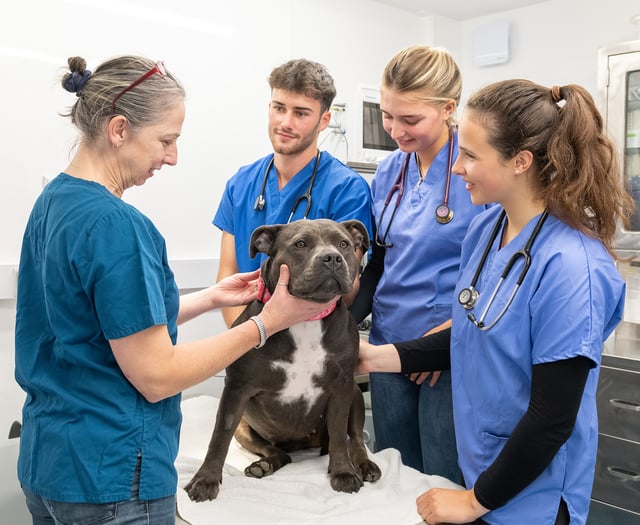 £150,000 expansion for Aber Uni's vet school