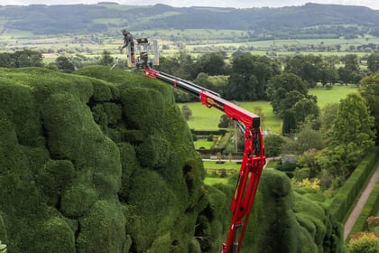 Gardener uses cherry picker to trim castle's 300-year-old hedges