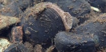 Gwynedd river is site of pearl mussel breeding programme release