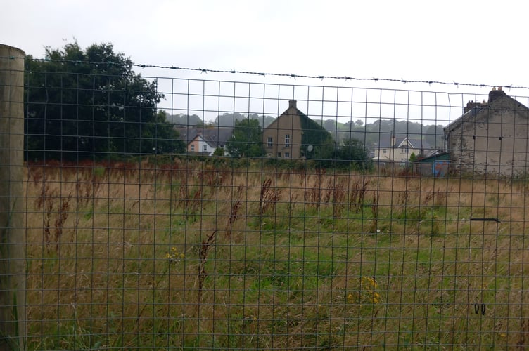 The field where the station will be built behind the houses at Aran Street, Bala. Photo: Dale Spridgeon