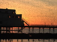 Enclosure plans hatched for Aber pier