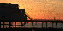 Enclosure plans hatched for Aber pier