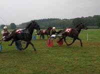 Ontop Shouda Cuda takes grade A win at harness racing charity day