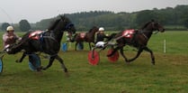 Ontop Shouda Cuda takes grade A win at harness racing charity day