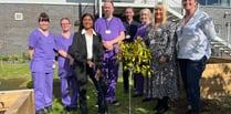 Top nurse plants tree to begin Aberystwyth wellbeing garden