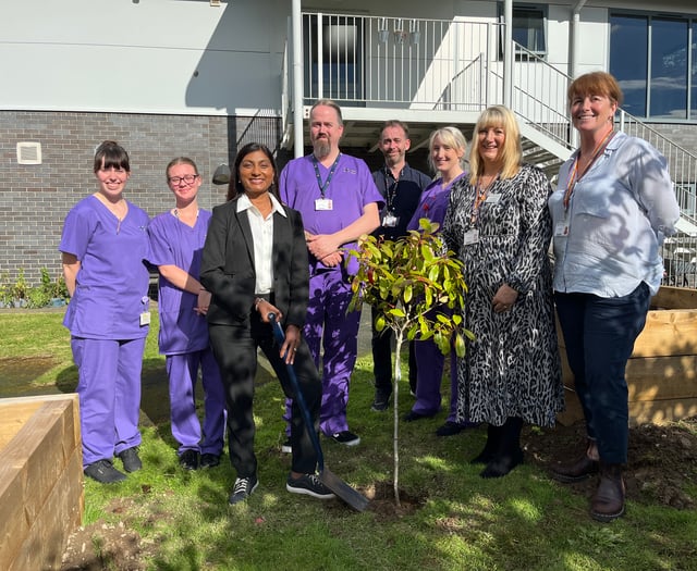 Top nurse plants tree to begin Aberystwyth wellbeing garden