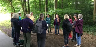 Outdoor wellbeing walks begin for Machynlleth patients