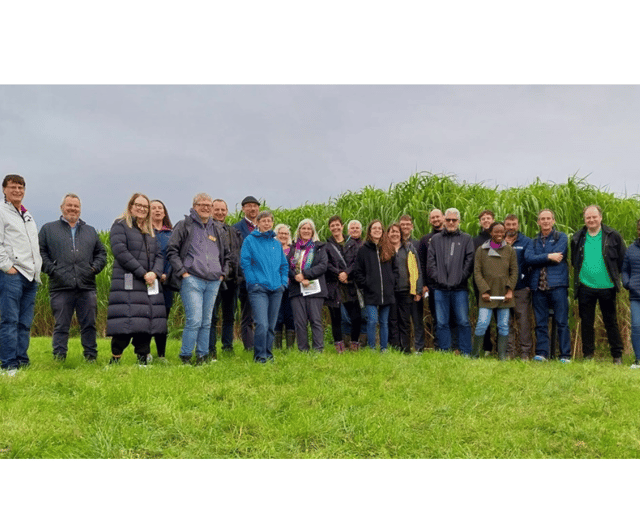 World's biomass experts gather in Aberystwyth