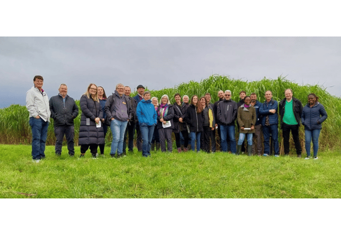 Some of the conference attendees visiting IBERS research plots at Aberystwyth University