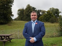 Welsh affairs committee role for MP