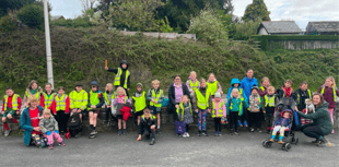 Capel Bangor pupils call for improved road safety