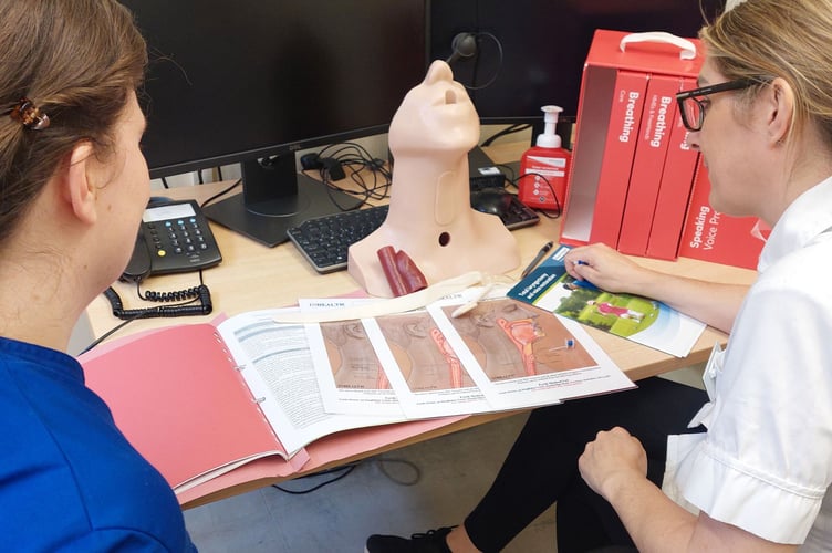 Head and neck cancer manikin