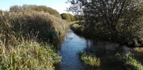 Meirionnydd Ramblers will explore Pwllheli's diverse habitats